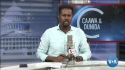 Caawa iyo Dunida
