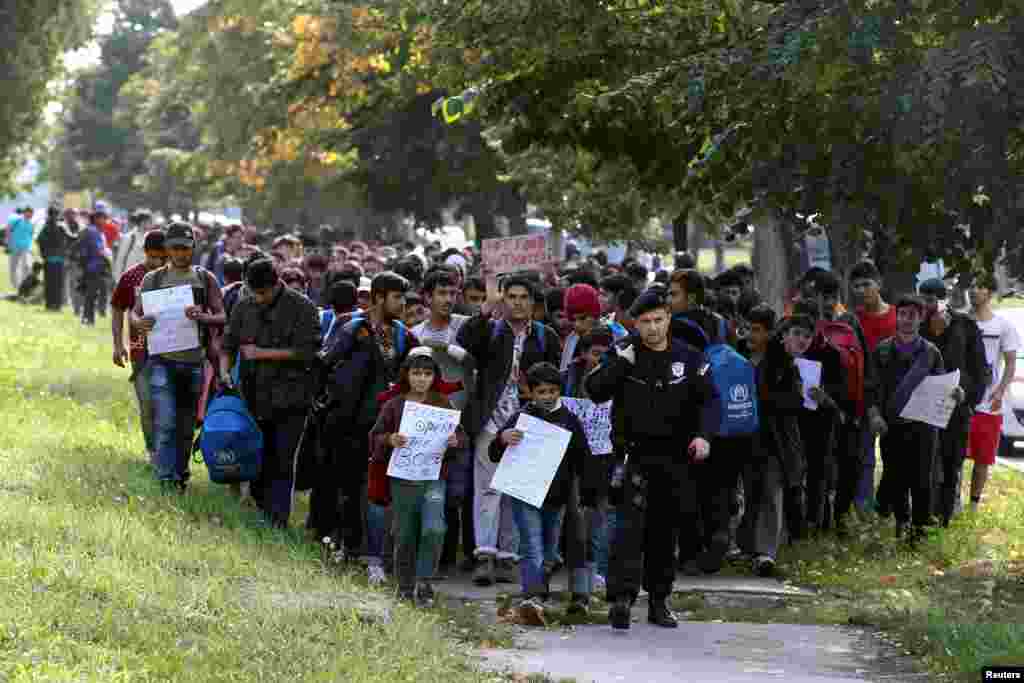 Ratusan migran berjalan di dekat perbatasan Hungaria di kota Beograd, Serbia.