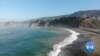 Warmer Oceans Mean More Sea Urchins Eating Through Ecosystems