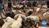 ከምሽቱ 3:00 የአማርኛ ዜና